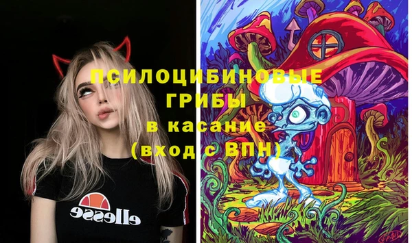 Альфа ПВП Ельня