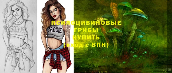 mdpv Елабуга
