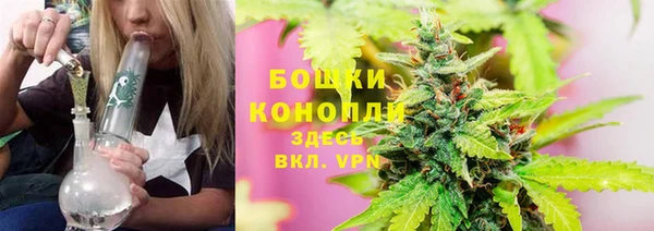 Альфа ПВП Ельня