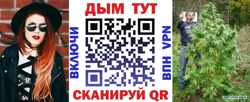 где найти наркотики  Павловский Посад  Бошки марихуана сатива 
